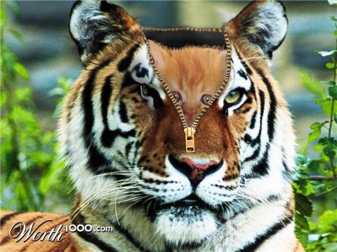 Photoshop Design by h2oscienceguy081