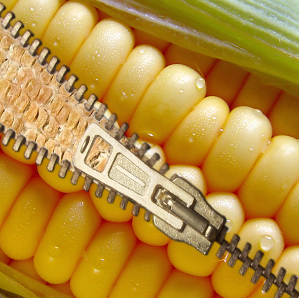 Design Photoshop par matster pour DesignCrowd (Community Contests) | Design #9051838