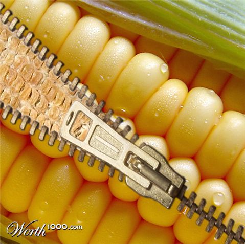 Photoshop Design by matster