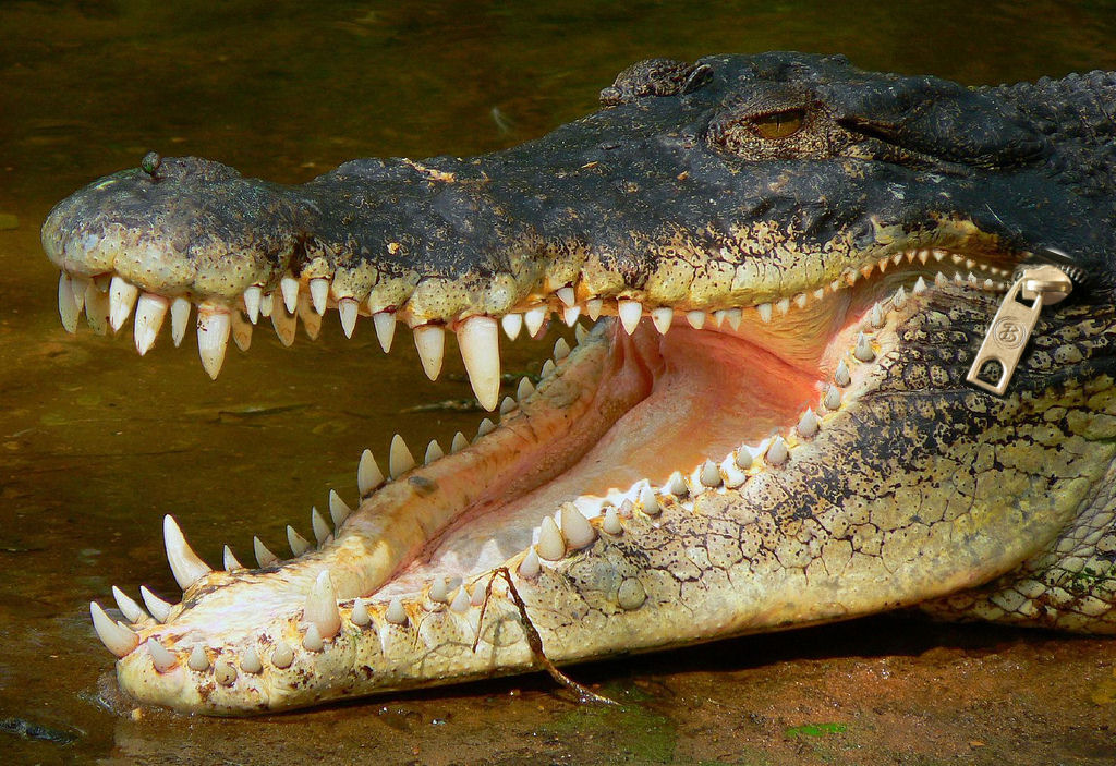 Photoshop Design by goraia for DesignCrowd (Community Contests) | Design #9051859