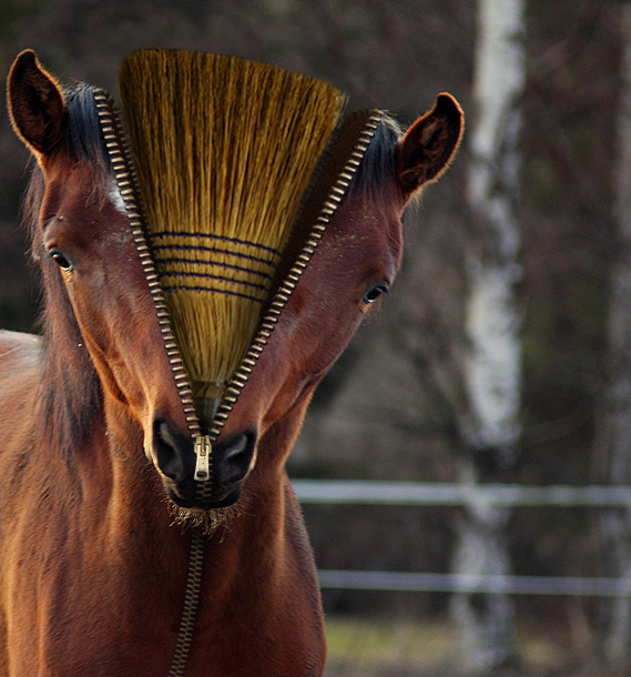 Design Photoshop par Donnie7 pour DesignCrowd (Community Contests) | Design #9052019