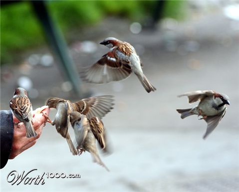 Photography by faltenin