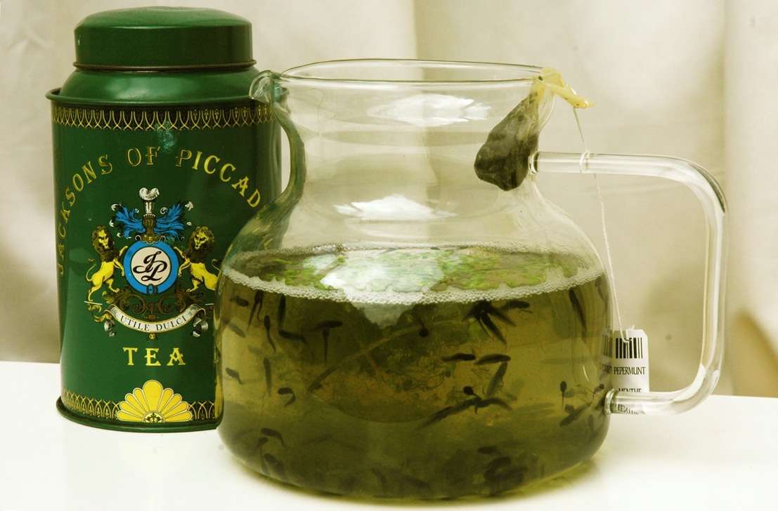 Photography by bvanderhofstede for DesignCrowd (Community Contests) | Design #9049896