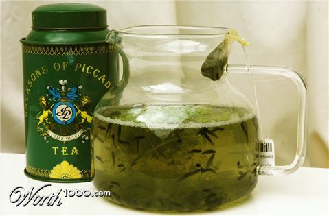 Photography by bvanderhofstede