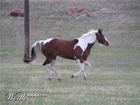 Photography by bc2poo