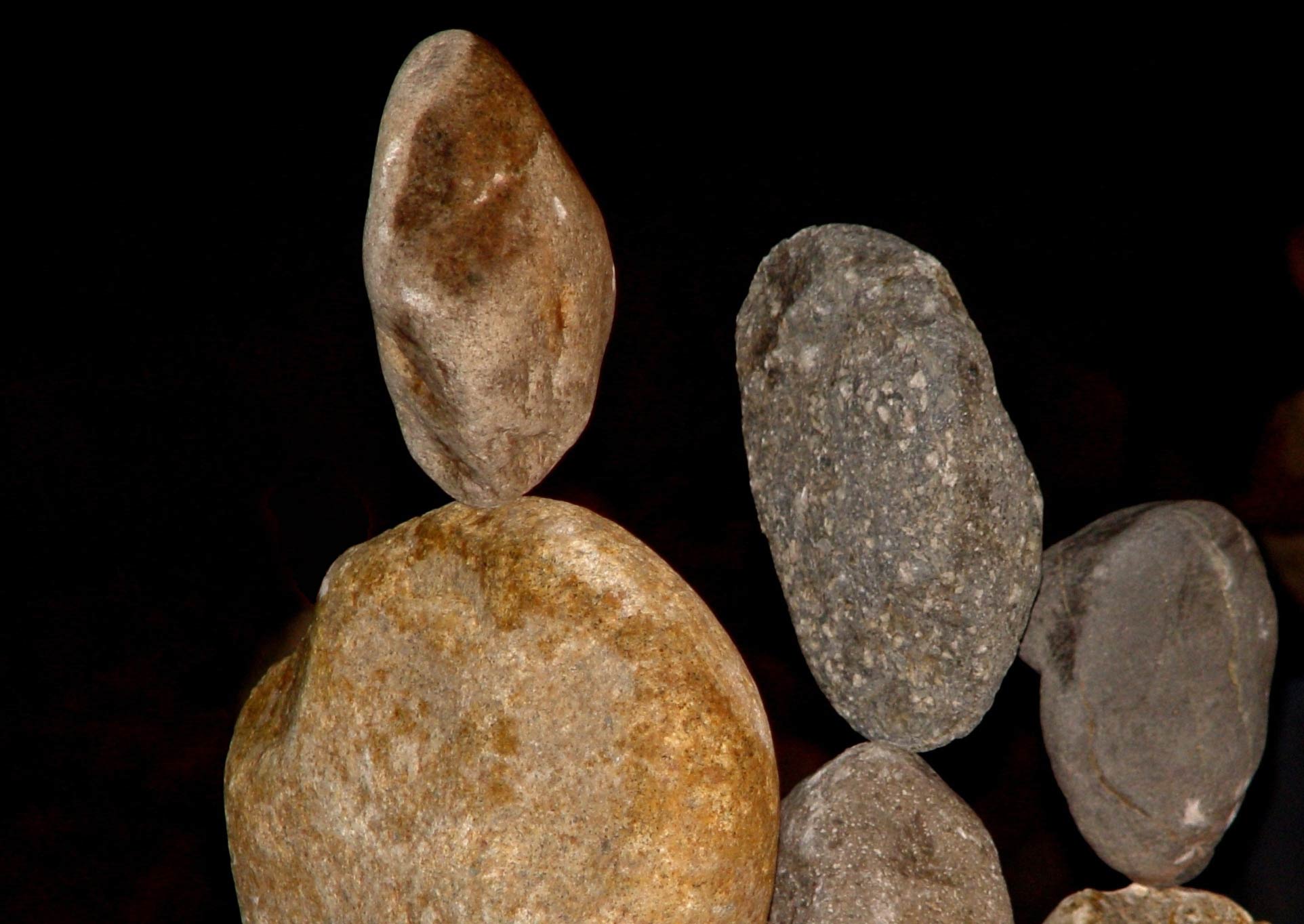 Photography by ljvgtj for DesignCrowd (Community Contests) | Design #9049485