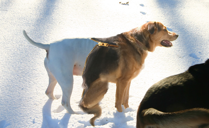 Photoshop Design by xabbu8 for DesignCrowd (Community Contests) | Design #9052097