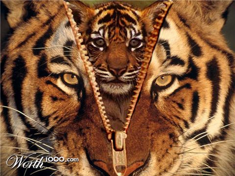 Photoshop Design by sadhnasharma