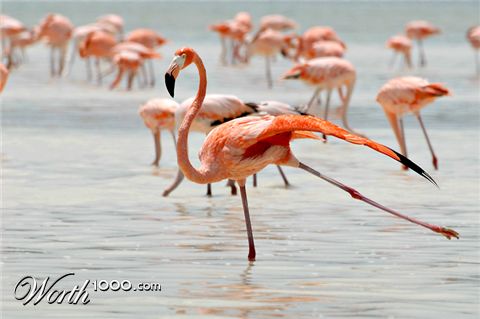 Photography by YaAmir