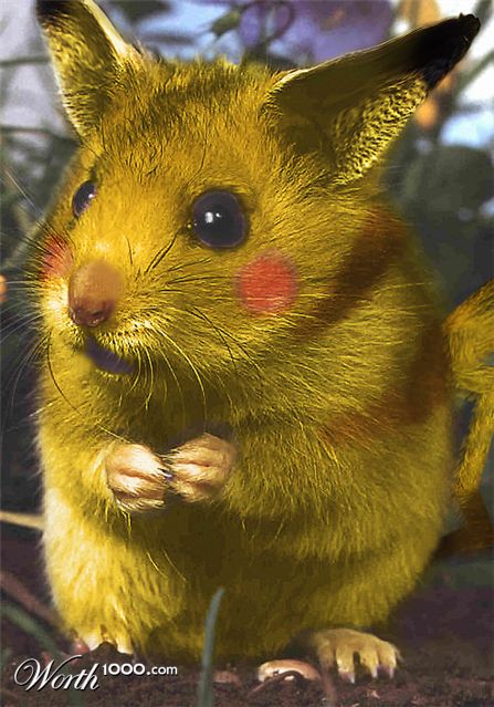 Photoshop Design by MagxMagx