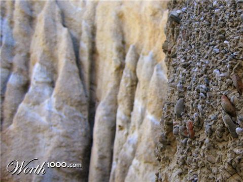 Photography by missyelle