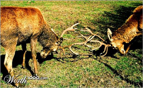 Photography by AsierReisa