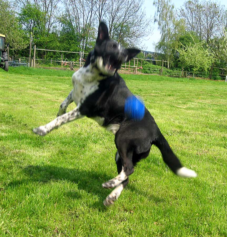 Fotografía por lkGaia para DesignCrowd (Community Contests) | Diseño #9040834