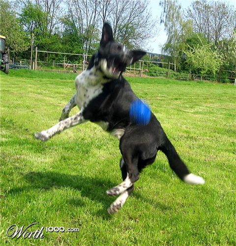 Photography by lkGaia