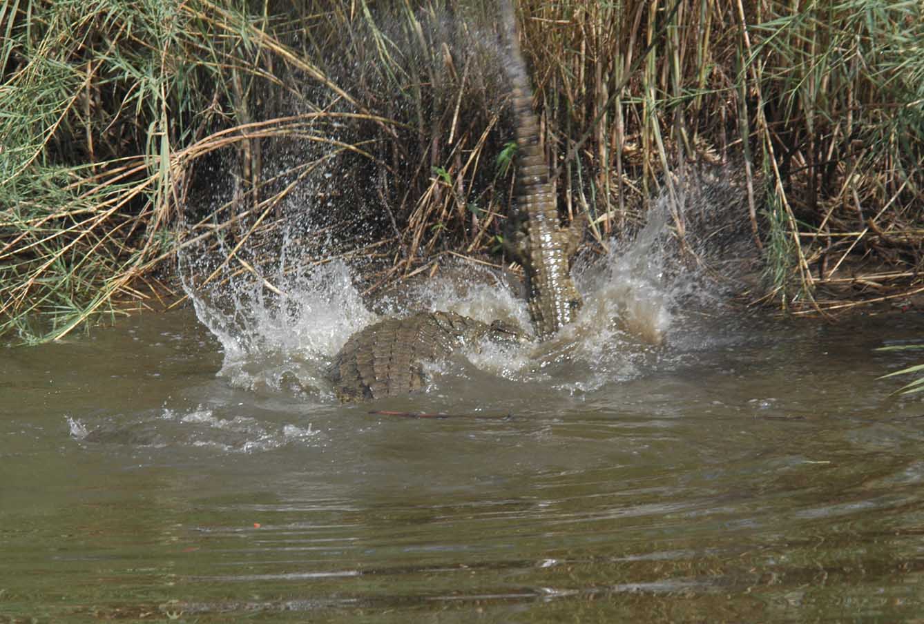 Photography by jezbod for DesignCrowd (Community Contests) | Design #9040842