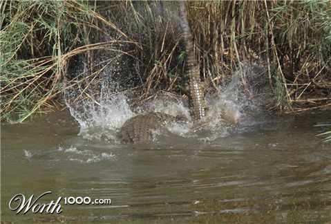 Photography by jezbod