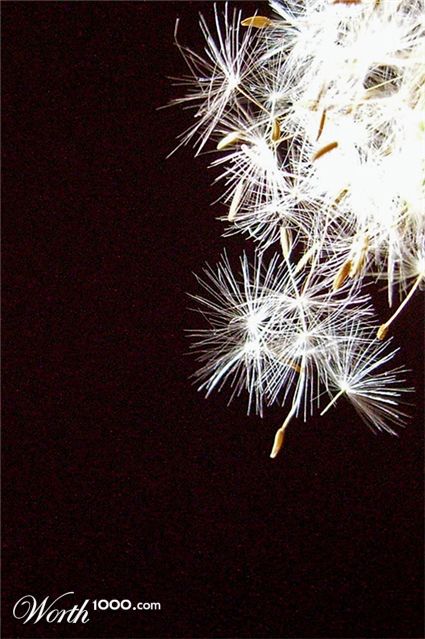 Photography by IsleofJura