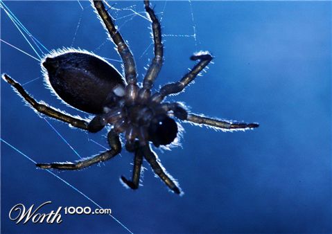 Photography by jezbod