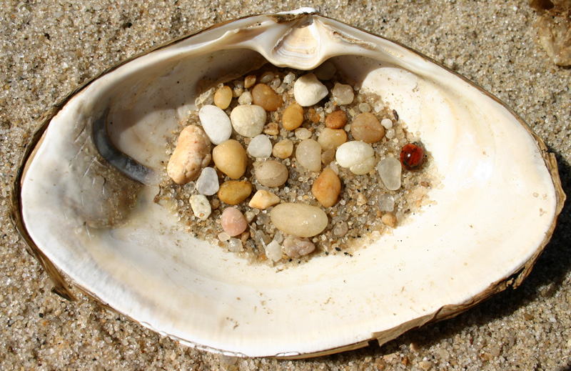 Photography by rdchdwck for DesignCrowd (Community Contests) | Design #9049502