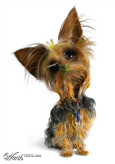 Photoshop Design by hemantsharma