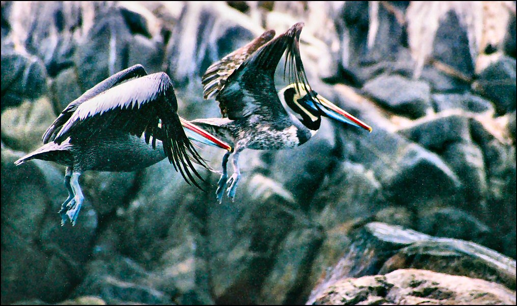 Fotografie von Juicer für DesignCrowd (Community Contests) | Design #9040811