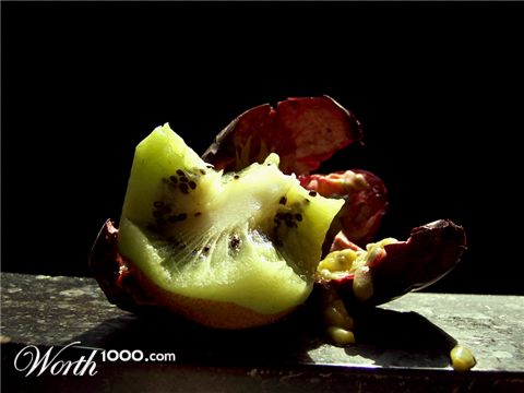 Photography by DutchPuh