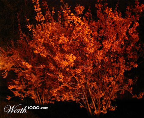 Photography by cratz1