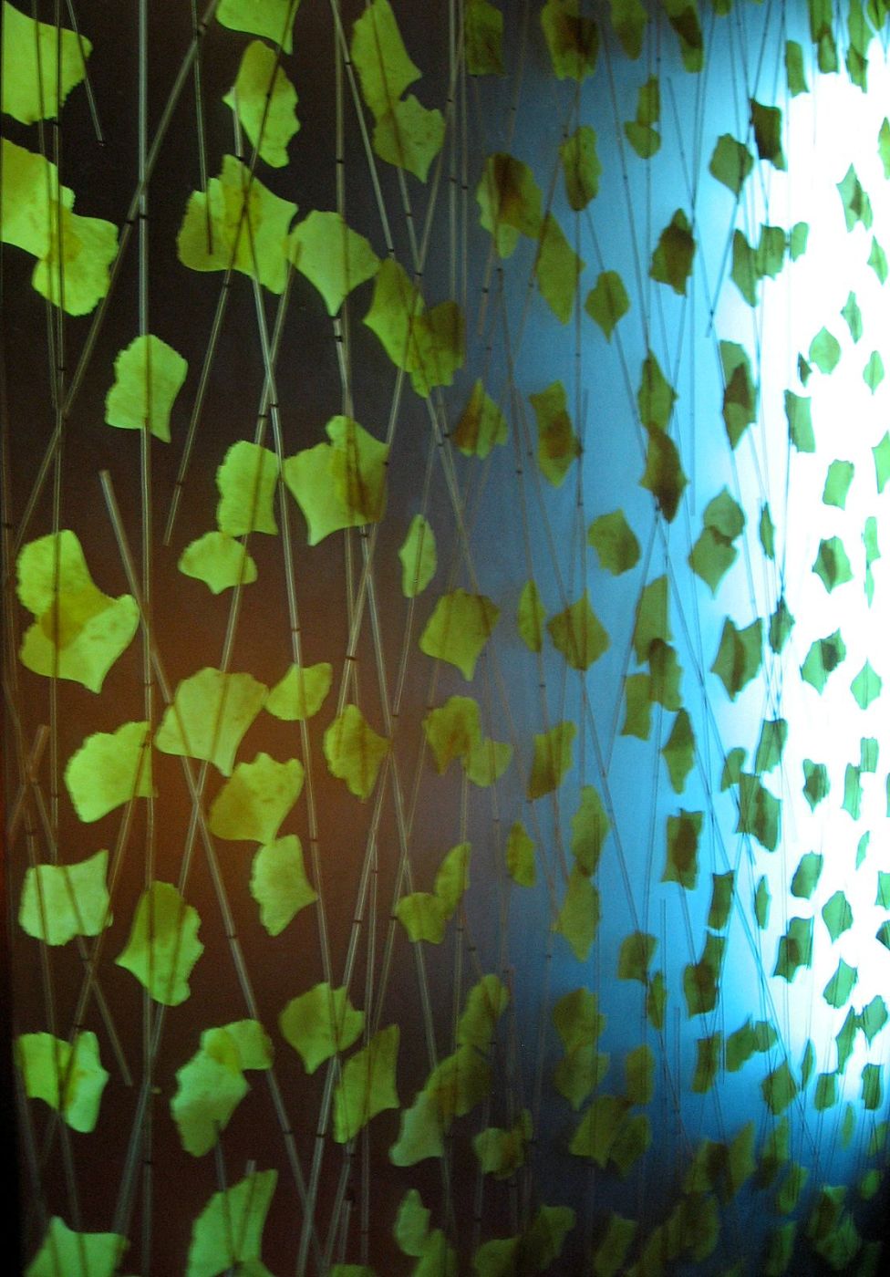 Photography by jennsee for DesignCrowd (Community Contests) | Design #9051091