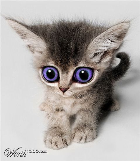 Photoshop Design by Ziaphra