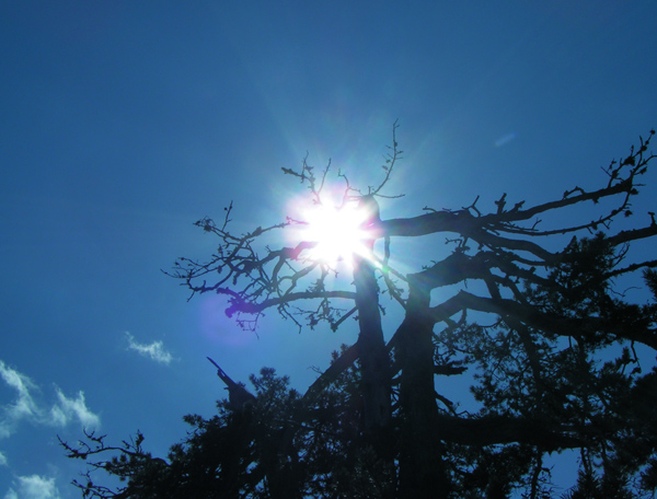 Fotografía por NexusStar para DesignCrowd (Community Contests) | Diseño #9051121