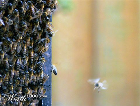 Photography by cooganj