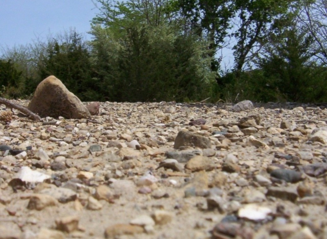 Fotografie von spincast1123 für DesignCrowd (Community Contests) | Design #9049520