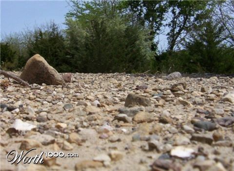 Photography by spincast1123