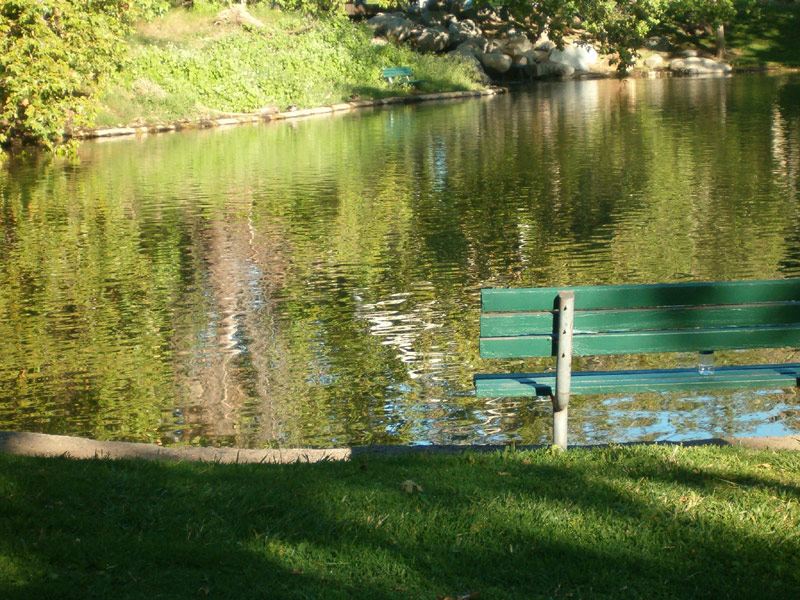 Photography by Ivor121 for DesignCrowd (Community Contests) | Design #9049634