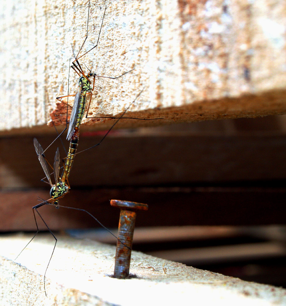 Photography by mission for DesignCrowd (Community Contests) | Design #9040936