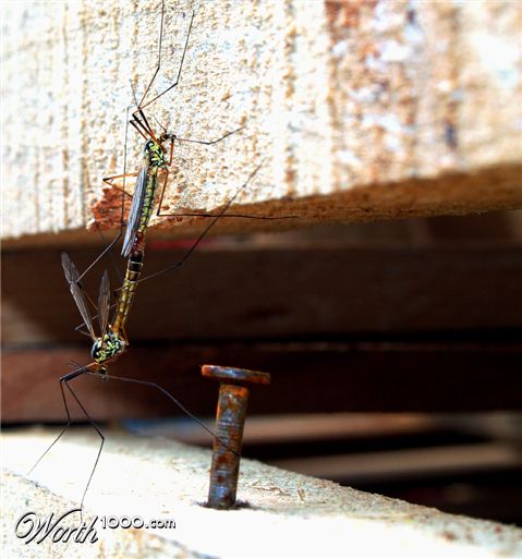 Photography by mission