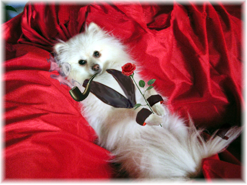 Design Photoshop par cridley pour DesignCrowd (Community Contests) | Design #9041189