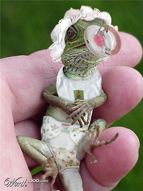 Photoshop Design by Pixelicious