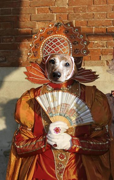 Photoshop Design by Xainder for DesignCrowd (Community Contests) | Design #9041201