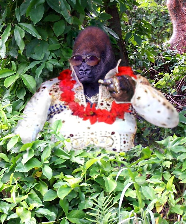 Photoshop-Design von cleareyes für DesignCrowd (Community Contests) | Design #9041198