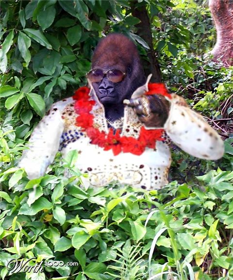 Photoshop Design by cleareyes