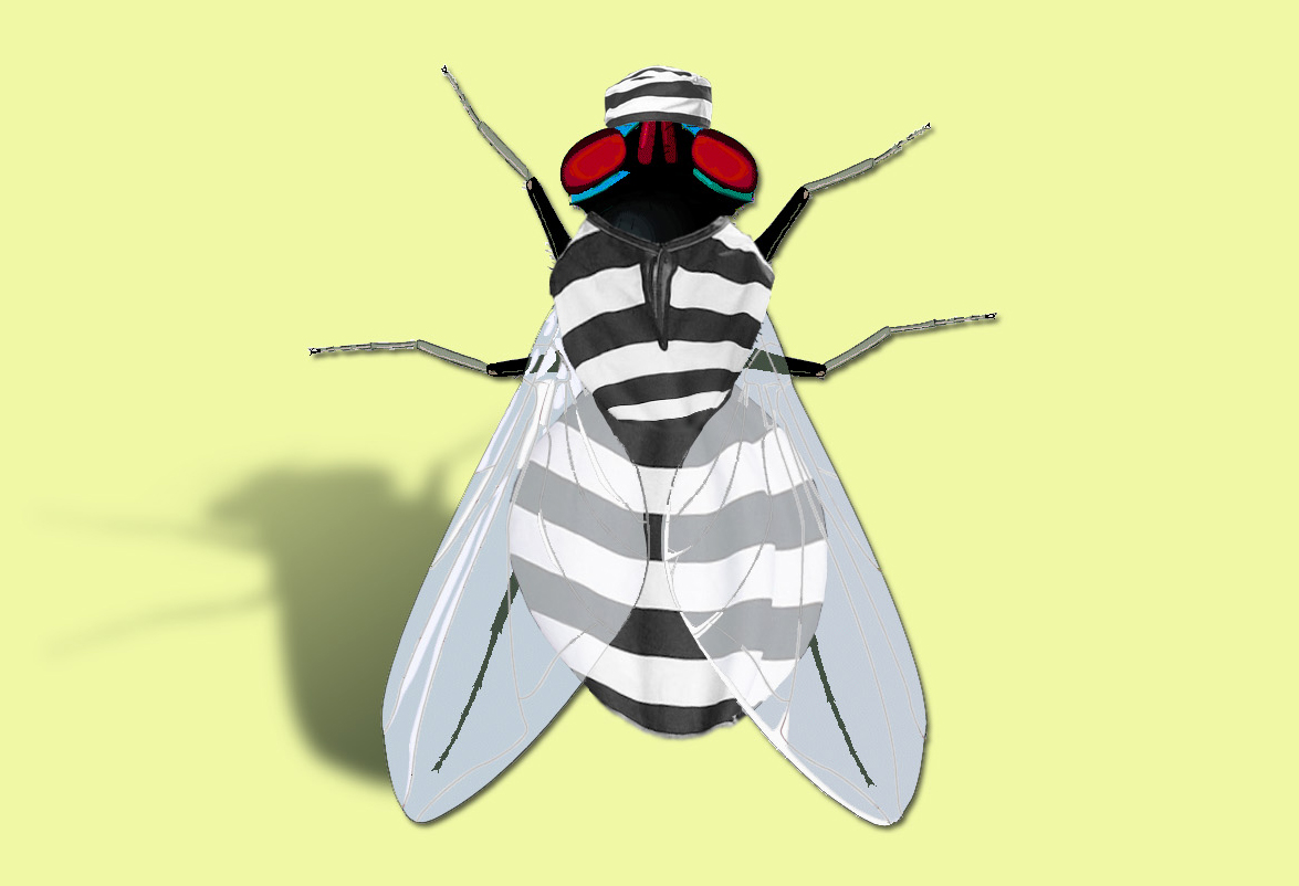 Photoshop-Design von Kekemes für DesignCrowd (Community Contests) | Design #9041205