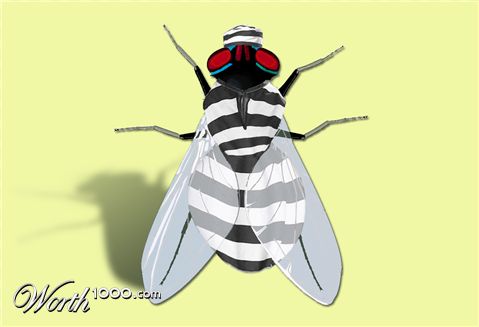 Photoshop Design by Kekemes