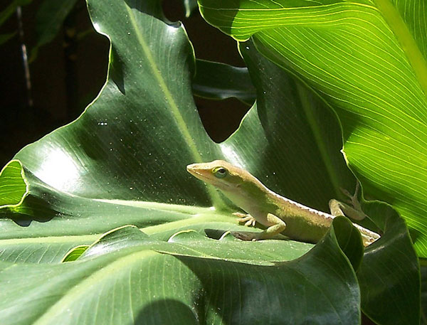 Photography by birdbluff for DesignCrowd (Community Contests) | Design #9049675