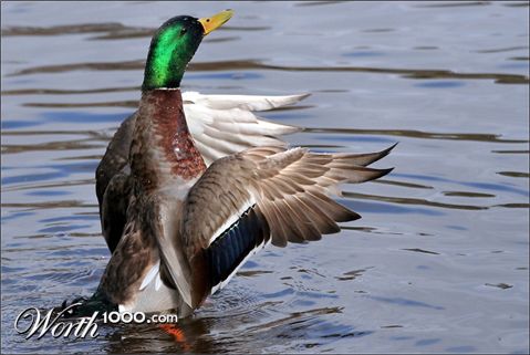 Photography by razzberry