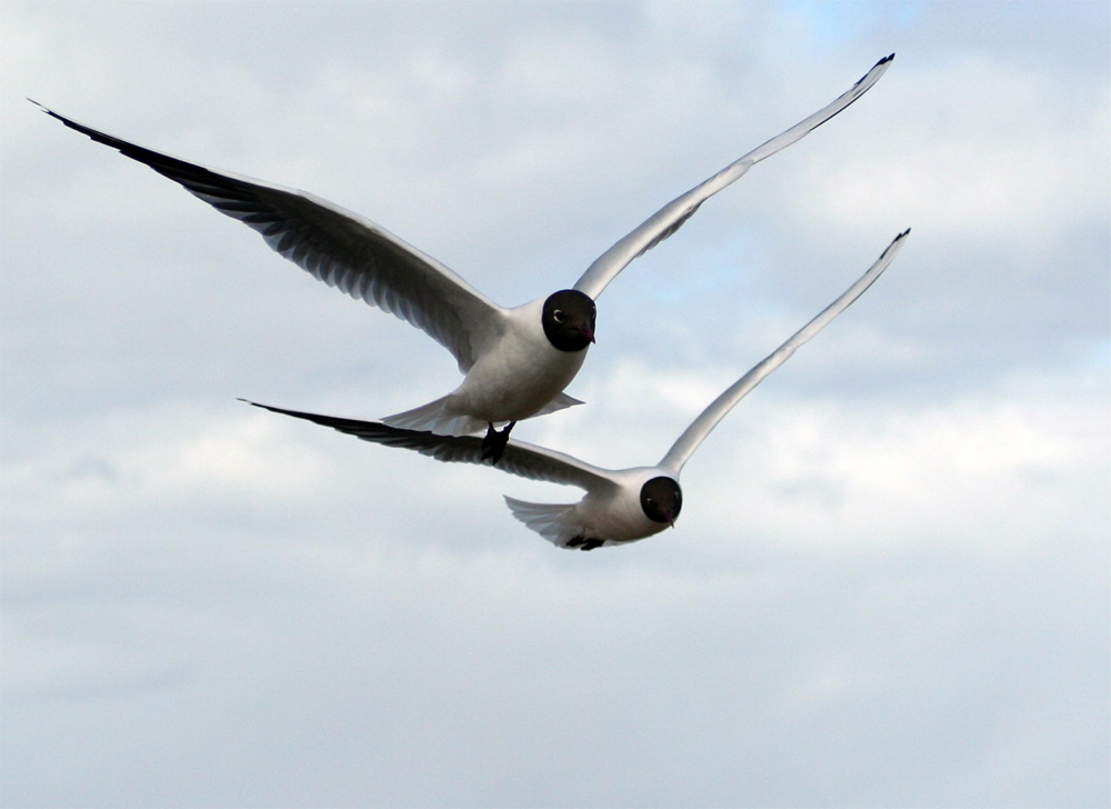 Fotografía por Maddyy para DesignCrowd (Community Contests) | Diseño #9040914