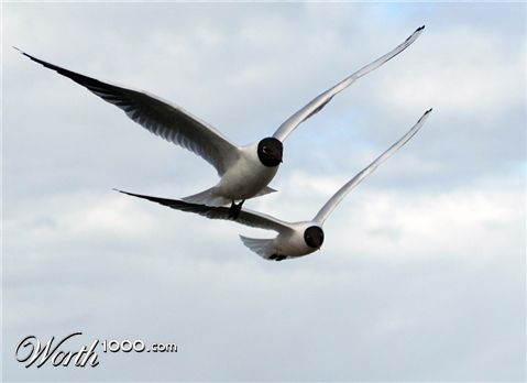 Photography by Maddyy