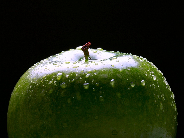 Photographie par KarenC pour DesignCrowd (Community Contests) | Design #9049652