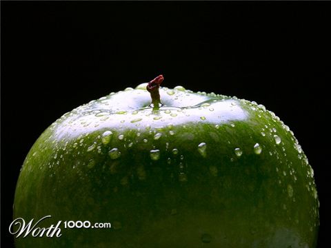 Photography by KarenC