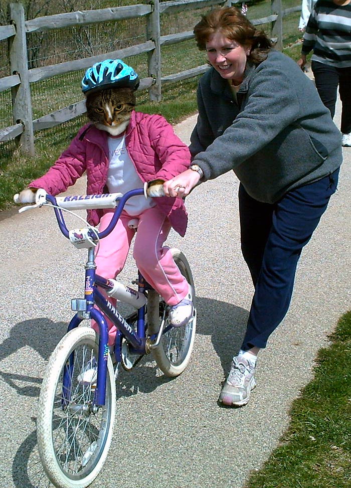 Photoshop Design by bjorngustavsson for DesignCrowd (Community Contests) | Design #9041231